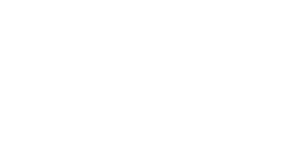 SEIDOR Logo