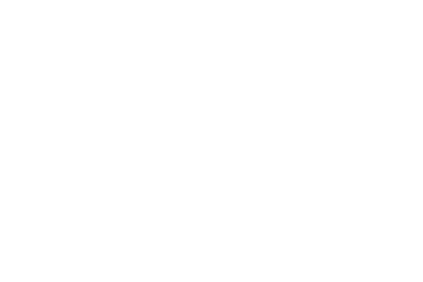 Netvlies Logo