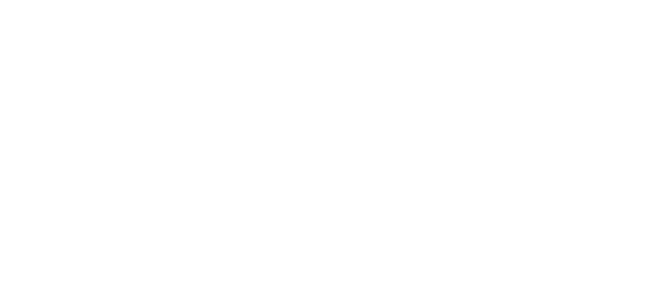 VASS Logo