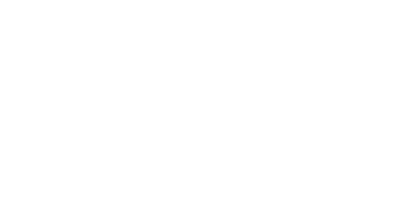 salient doremus Logo