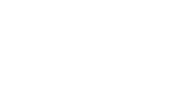 ZWEBB Sweden AB Logo