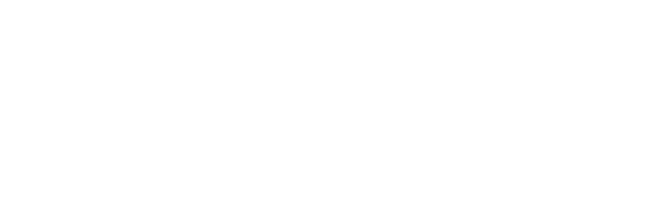 VALID Logo