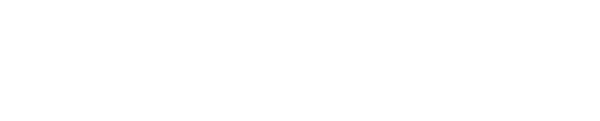 Next DX Logo