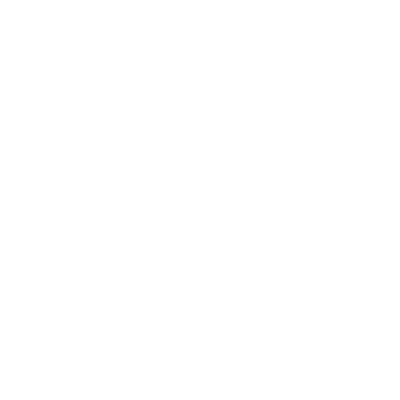 Bewizyu Logo