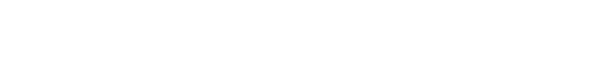 WESEO Digital Agency Logo