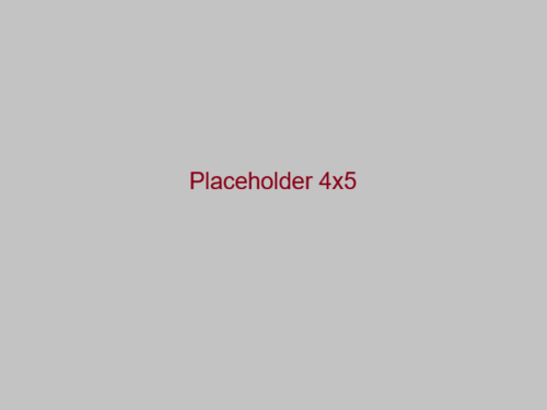 Placeholder 4x5